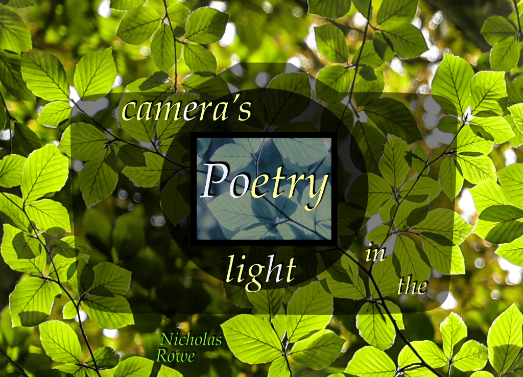 A few other images from ‘Poetry in the camera’s light’