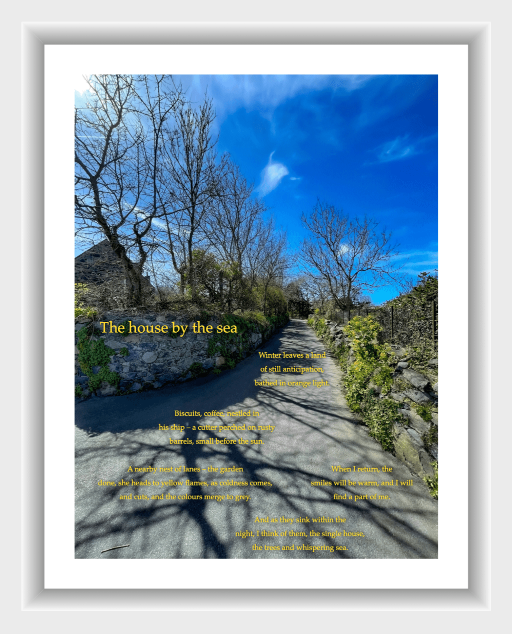 The house by the&nbsp;sea